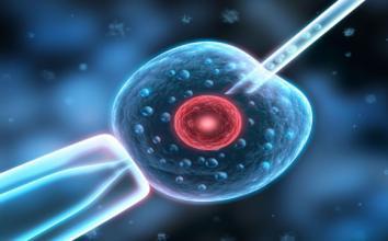 反复流产